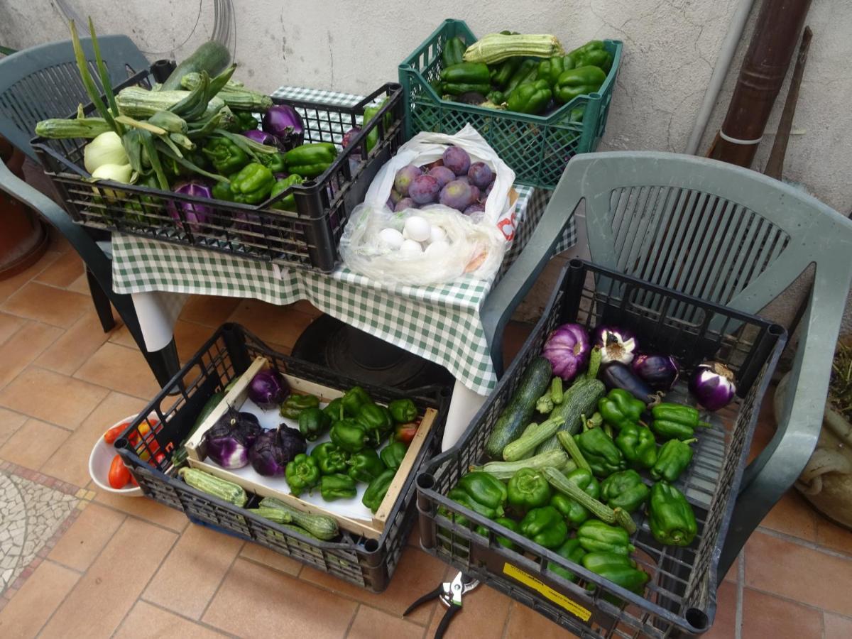 La Bottega Del Fabbro Affitto Breve Villa Contigliano ภายนอก รูปภาพ